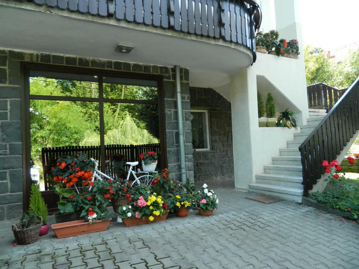 Casa Anette Apartman Szováta Kültér fotó